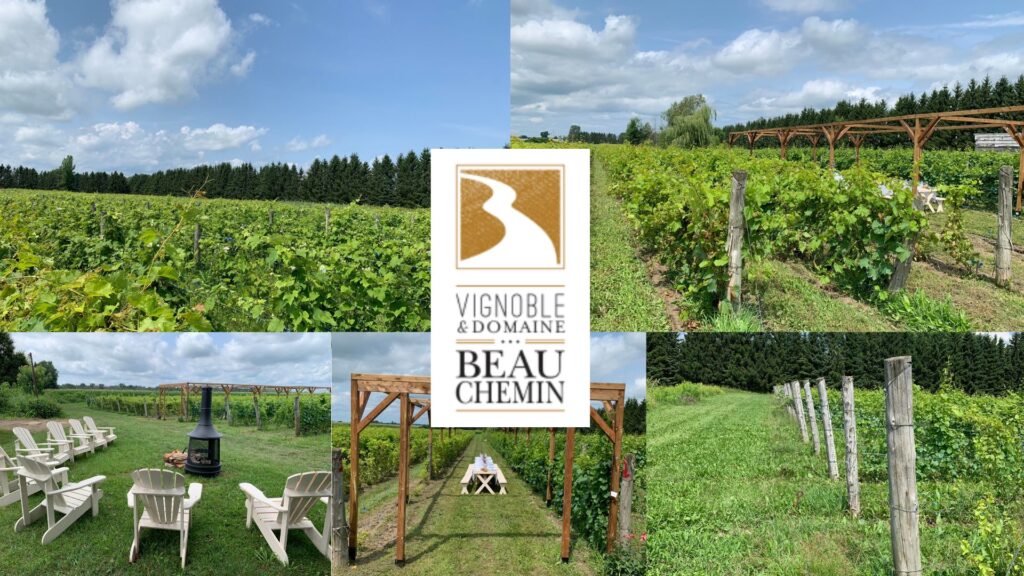 Vignoble Domaine Beauchemin: vignobles