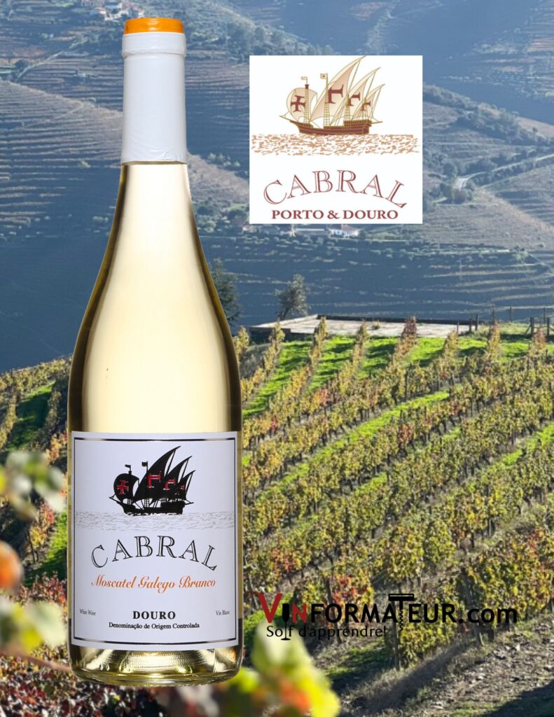 Cabral, Moscatel Galego Branco, Portugal, Douro, vin blanc, 2022