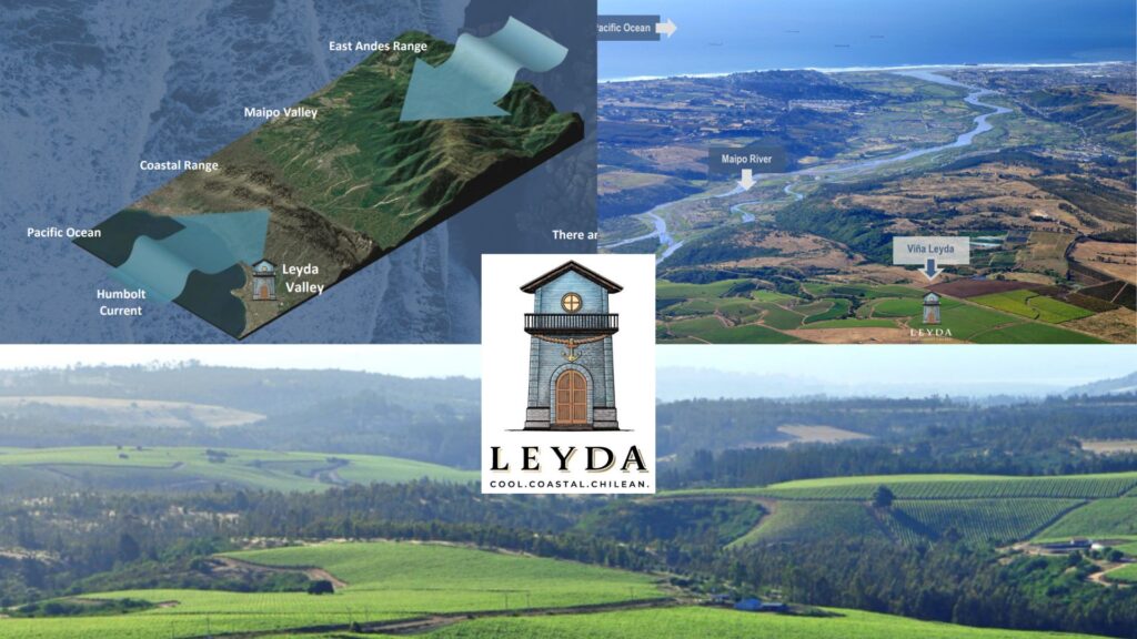 Vignobles de Vina Leyda et l'influence maritime sur le climat. 
