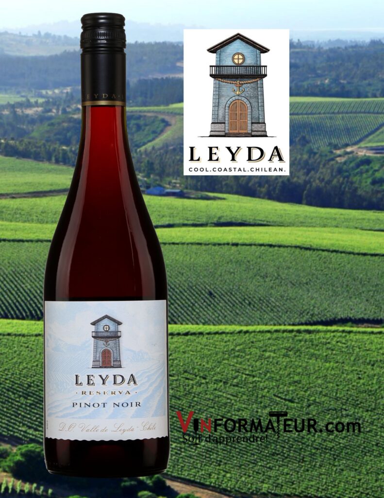 Pinot Noir, Reserva, Leyda, Chili, Vallée de Leyda, vin rouge, 2022 bouteille