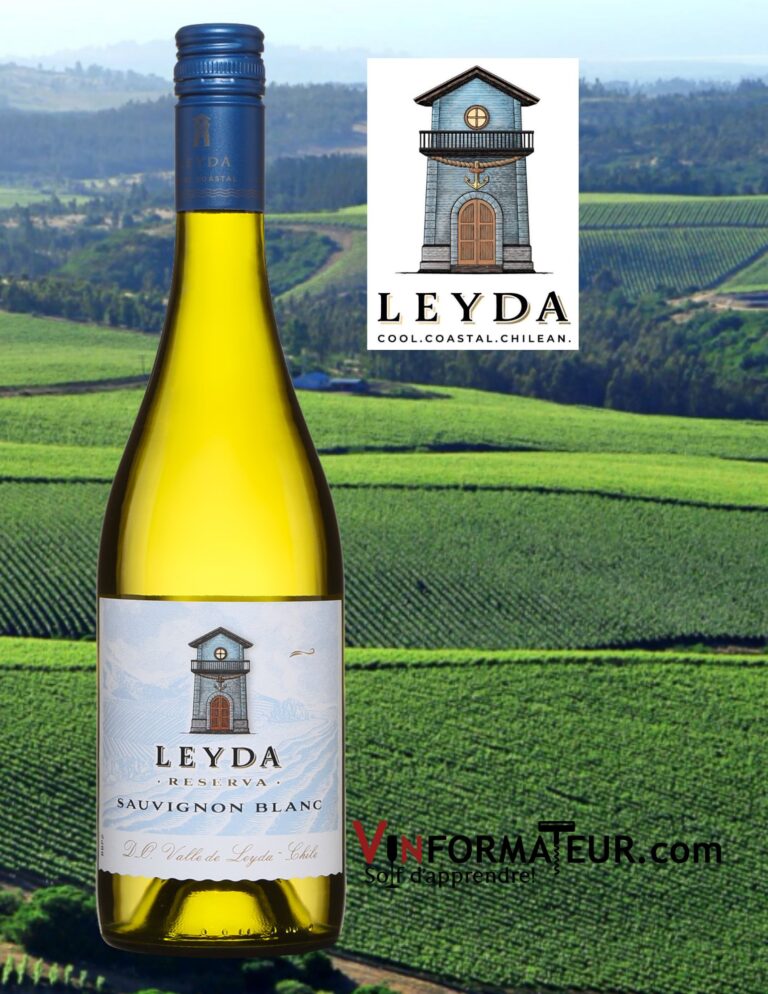 Sauvignon blanc, Reserva, Leyda, Chili, Vallée de Leyda, vin blanc, 2022 bouteille
