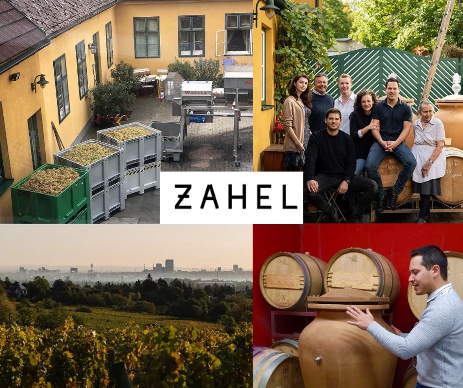 Weingut Zahel: famille Zahel, chai et vignobles