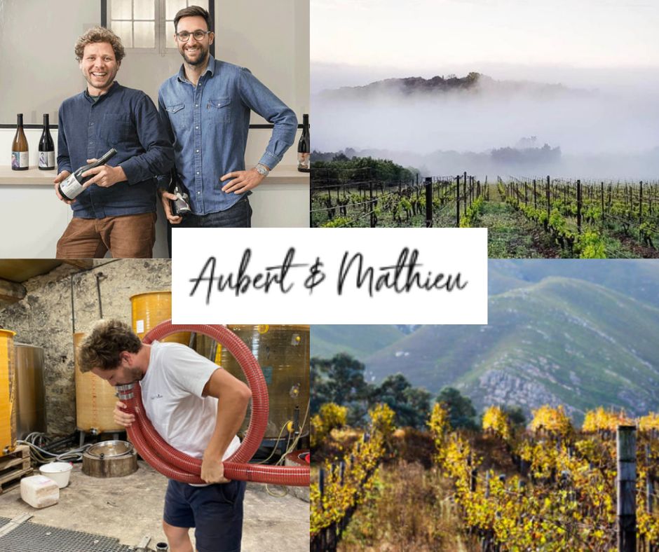 Aubert & Mathieu: vignobles et chai