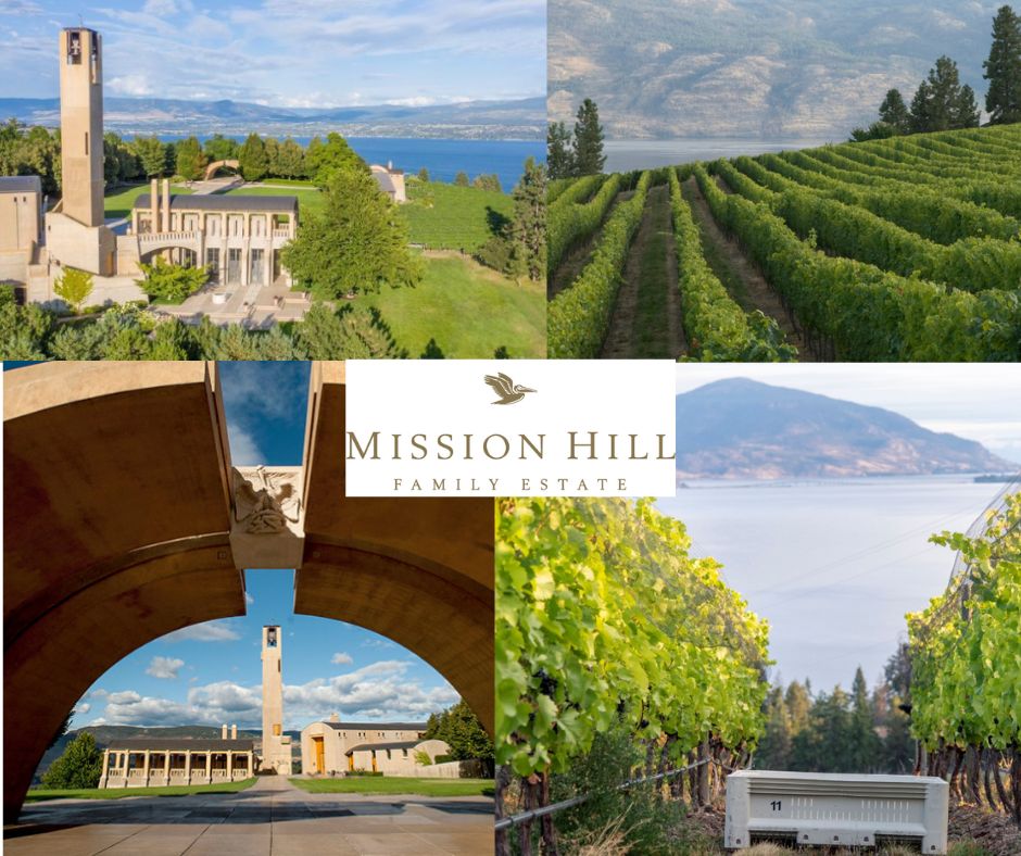 Mission Hill Family Estate: chai et vignobles