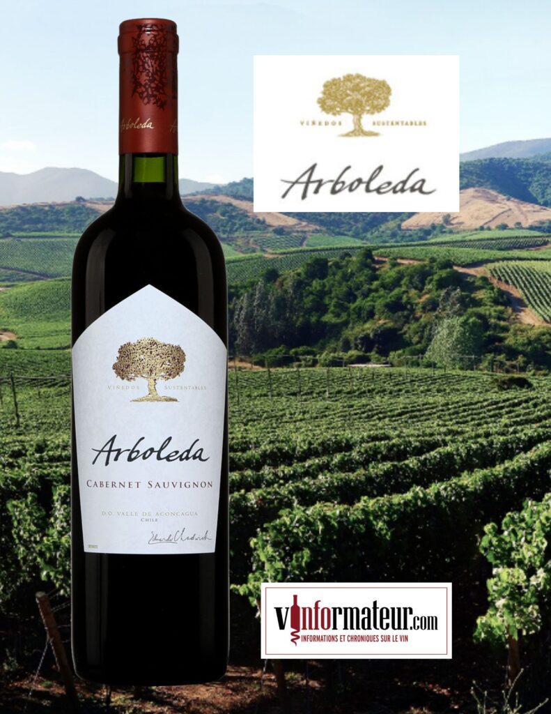 Arboleda, Cabernet-Sauvignon, Chili, D.O. Valle del Aconcagua, vin rouge, 2021 bouteille