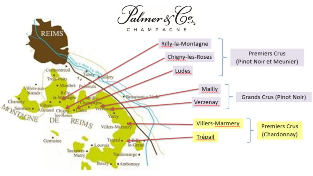 Carte viticole Champagne Palmer & Co - Montagne de Reims