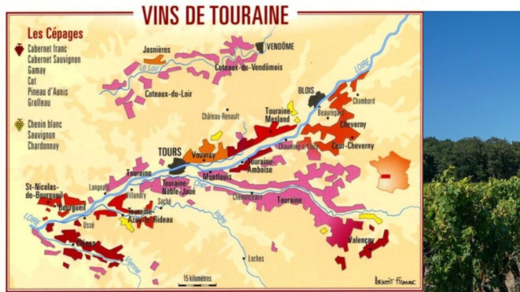 Carte viticole Touraine Val de Loire