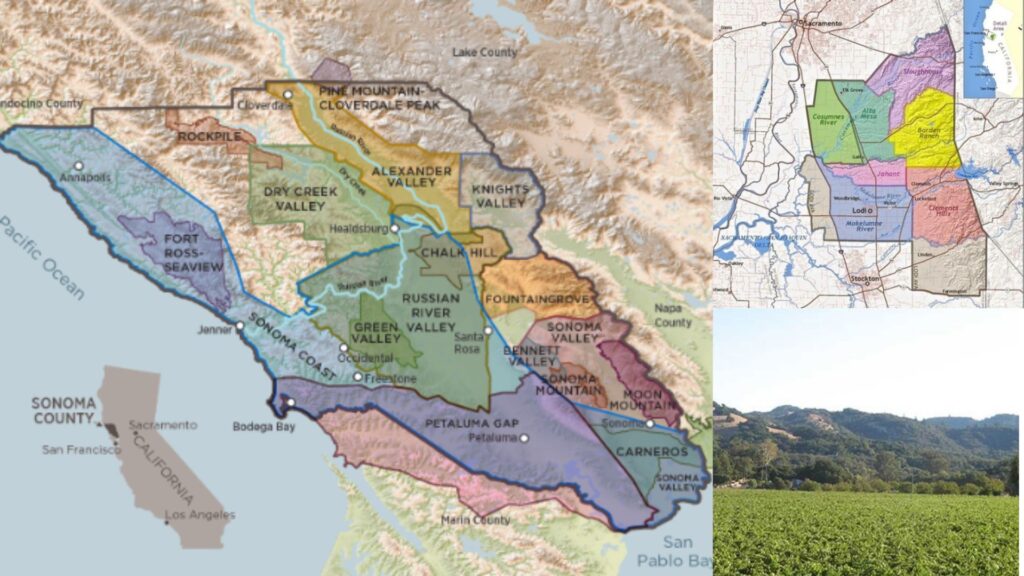 Carte viticole Californie, Sonoma County