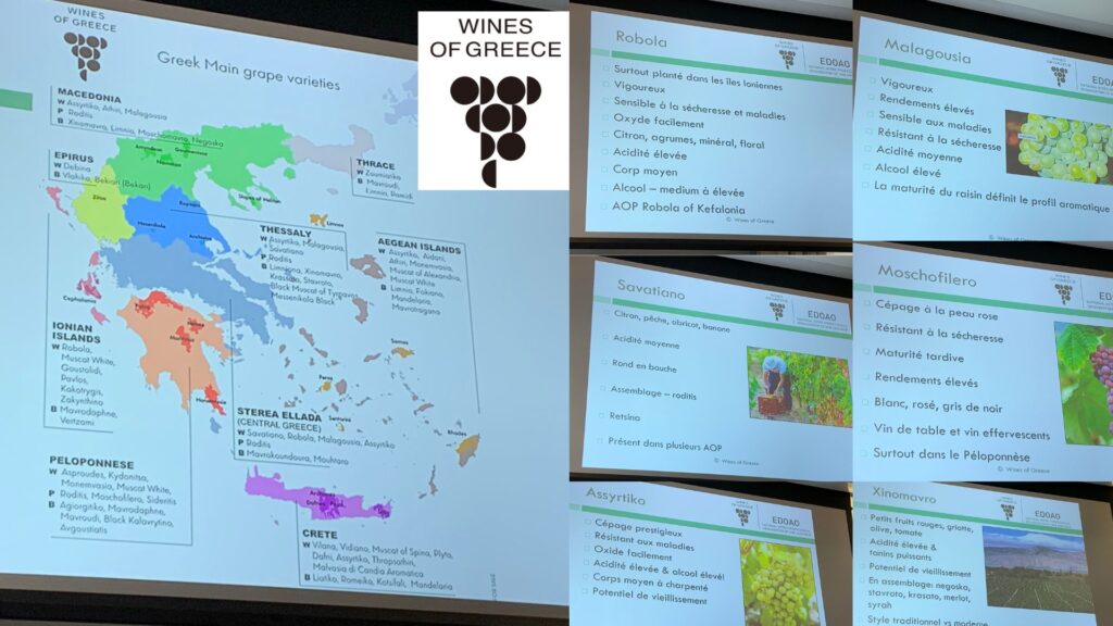 Carte viticole des cépages grecs - présentation Michelle Bouffard