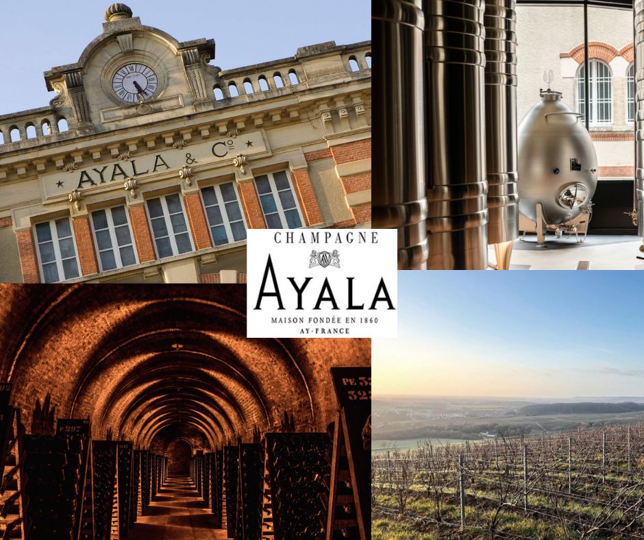 Champagne Ayala: chai, caves et vignobles