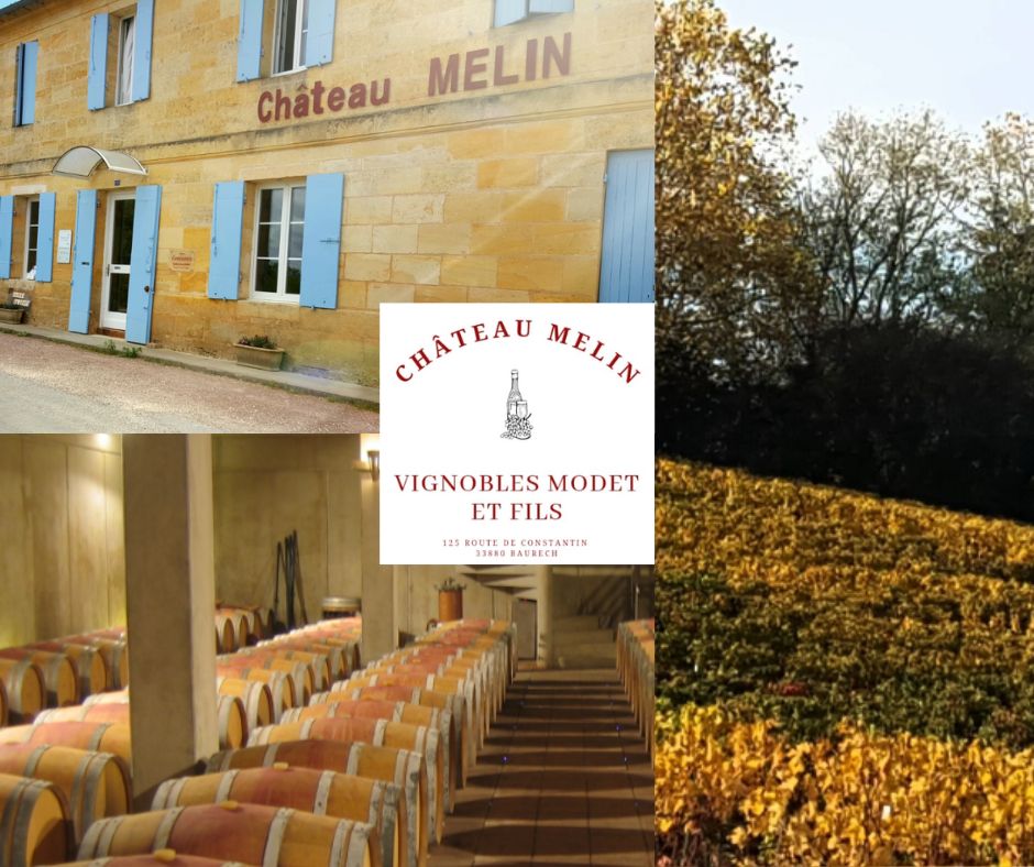 Château Melin: chai et vignobles