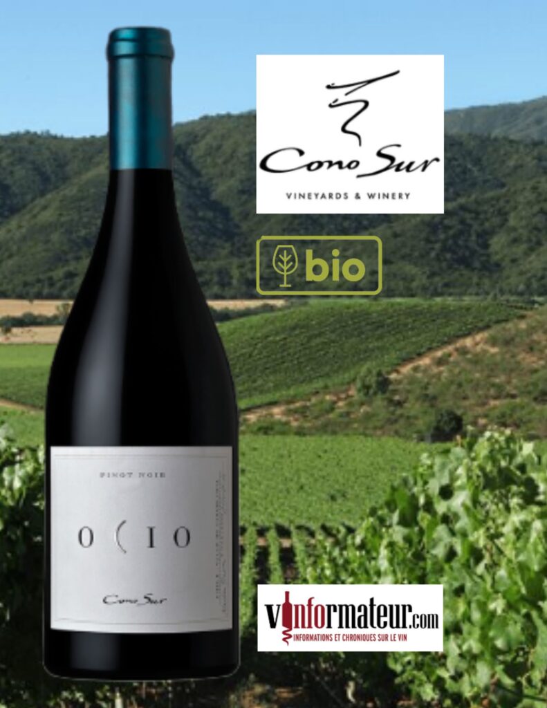 Cono Sur, Ocio, Pinot Noir, Chili, Valle de Casablanca, vin rouge, 2020 bouteille