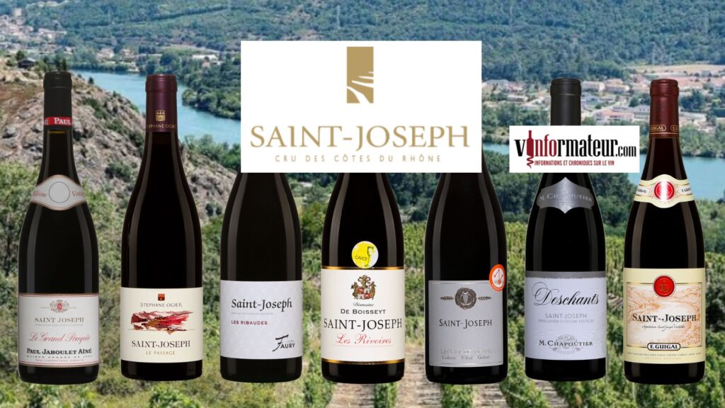 L’appellation Saint-Joseph. Des vins sublimes de Syrah, Marsanne et Roussanne à découvrir!