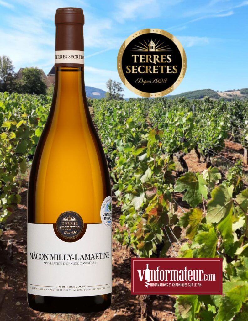 Mâcon Milly-Lamartine, Bourgogne, Mâconnais, Terres Secrètes, vin blanc, 2020 bouteille
