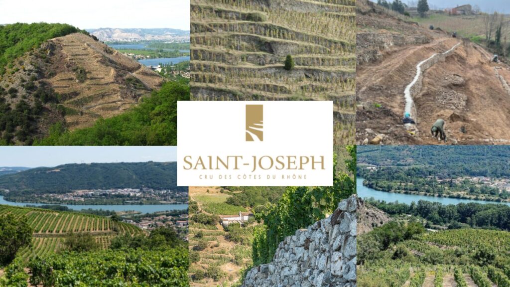 Vignobles héroiques de l'AOC Saint-Joseph