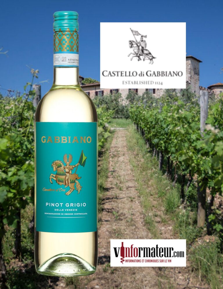 Gabbiano, Pinot Grigio delle Venezie, vin blanc, 2022 bouteille