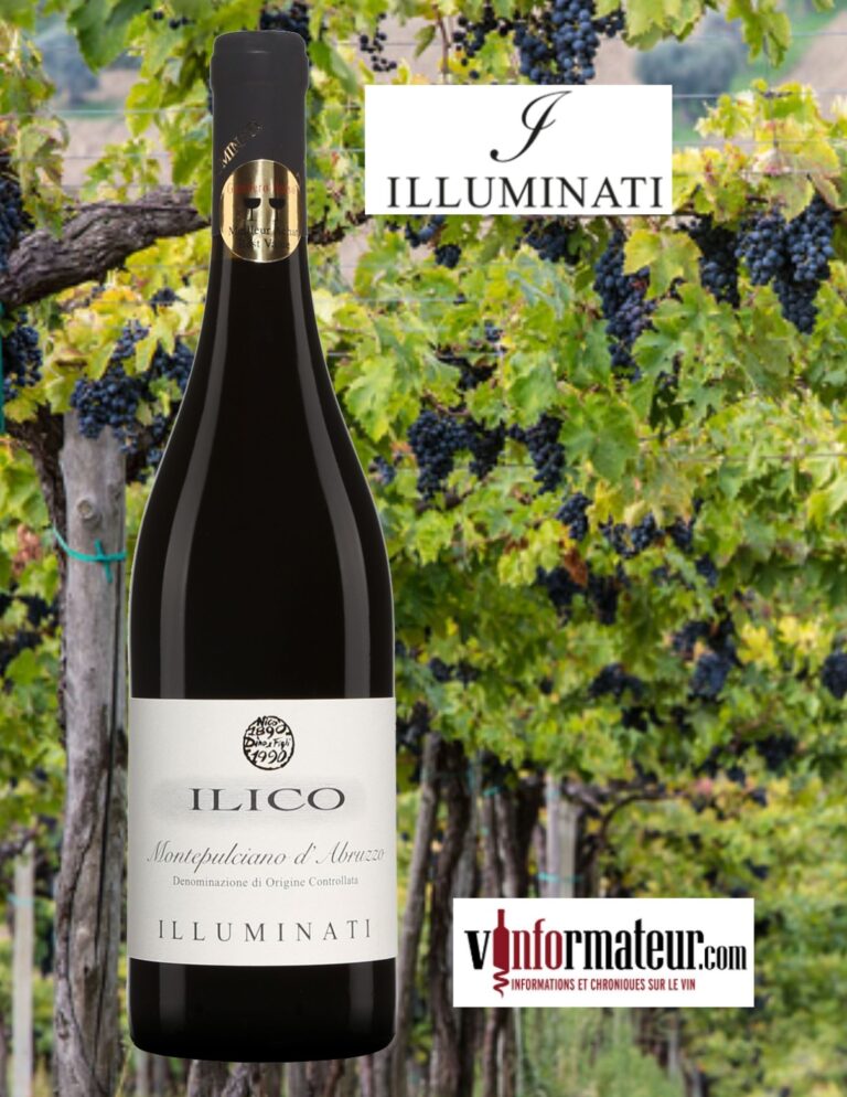 Ilico, Montepulciano d’Abruzzo, vin rouge, 2020 bouteille