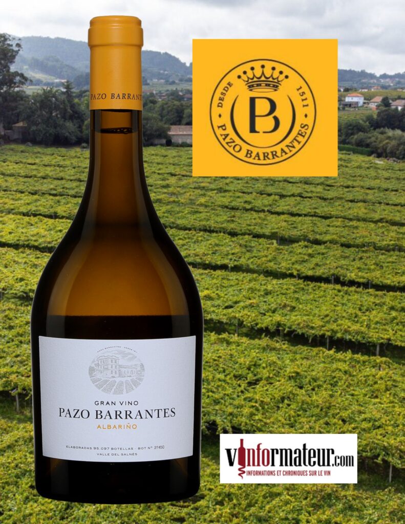 Albarino, Marqués de Murriata, Pazo Barrantes, Espagne, Rias Baixas, vin blanc, 2020 bouteille