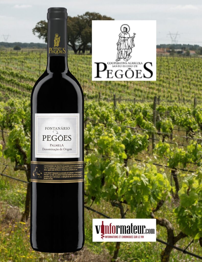 Fontanario de Pegoes, Péninsule de Setubal, Palmela, vin rouge, 2020 bouteille