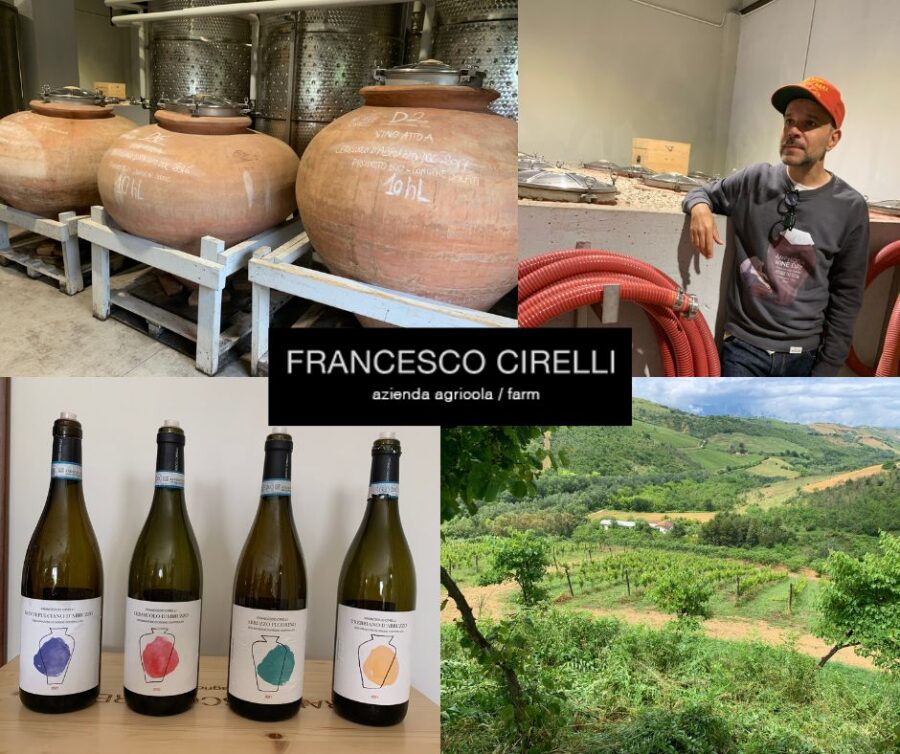 Francesco Cirelli: chai, vignobles et vins bouteilles