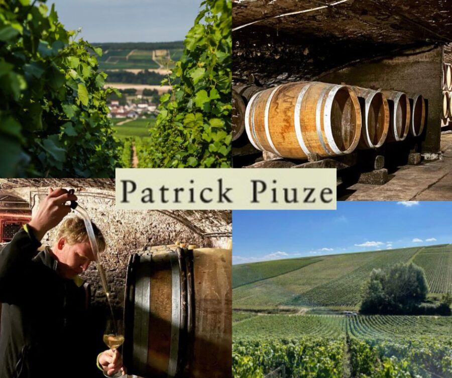 Patrick Piuze: chai et vignobles