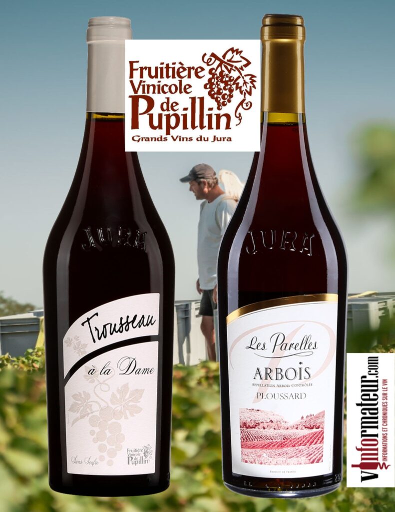 Vins rouges du Jura: Les Parelles, Ploussard ,vin rouge, 2020, 21,80$, Trousseau,, vin rouge nature (sans sulfites ajoutés), 2022, 25,45$. bouteilles