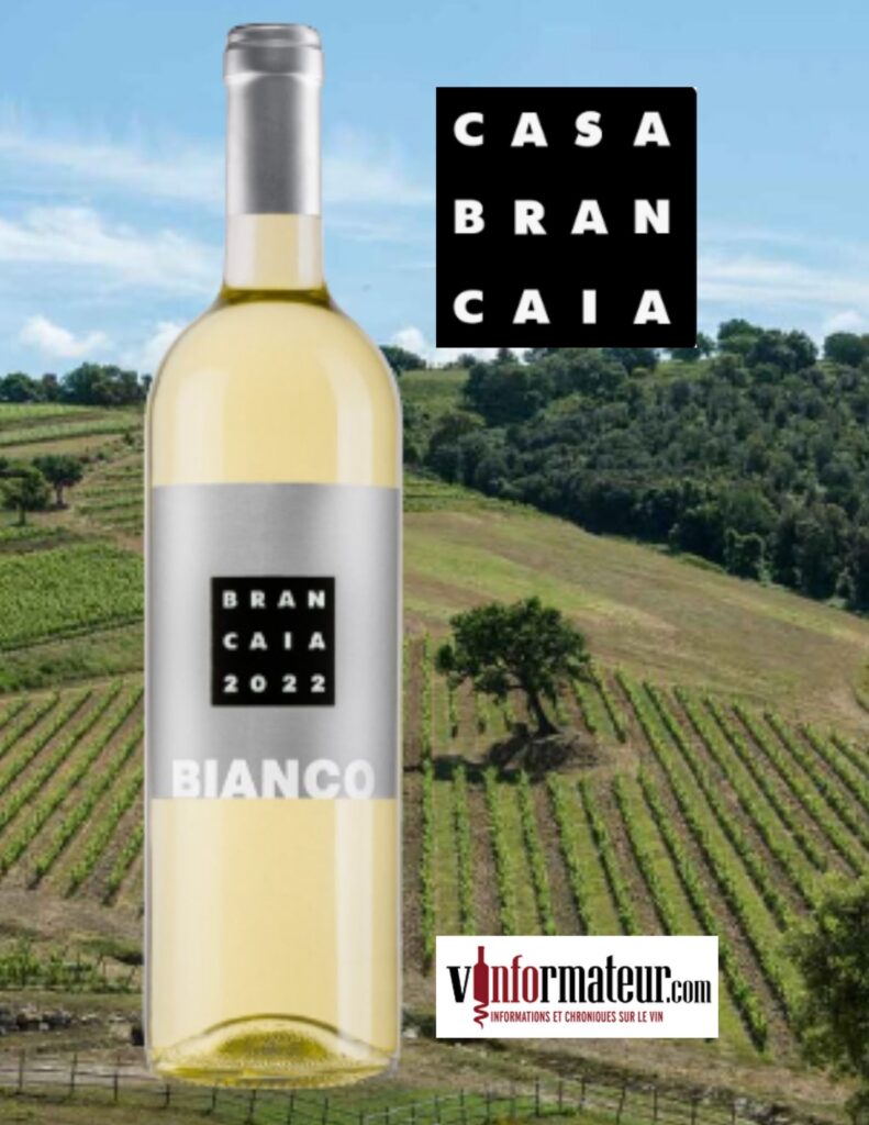 Brancaia, Il Bianco, Italie, Toscane IGT, vin blanc, 2022 bouteille