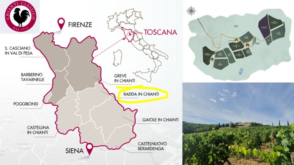 Carte viticole Chianti Classico - Brancaia Radda in Chianti