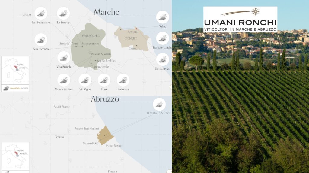 Cartes viticoles Umani Ronchi