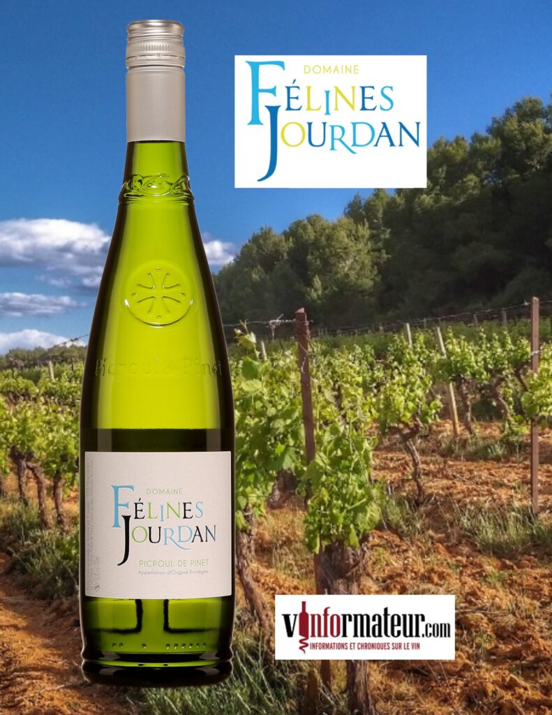 Félines Jourdan, PicPoul de Pinet, Cuvée Classique, Languedoc-Roussillon, AOP PicPoul de Pinet, vin blanc bio, 2022 bouteille