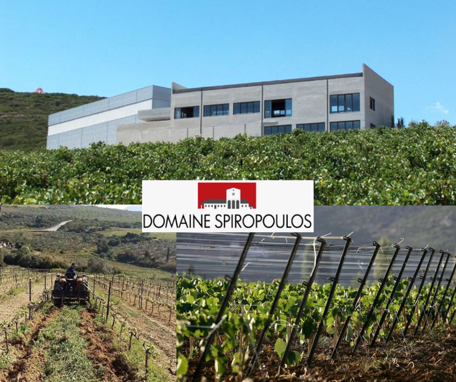 Domaine Spiropoulos: chai et vignobles