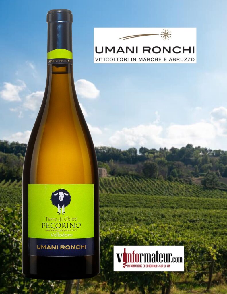 Umani Ronchi, Pecorino, Terre di Chieti, Vellodoro, vin blanc, 2022 bouteille