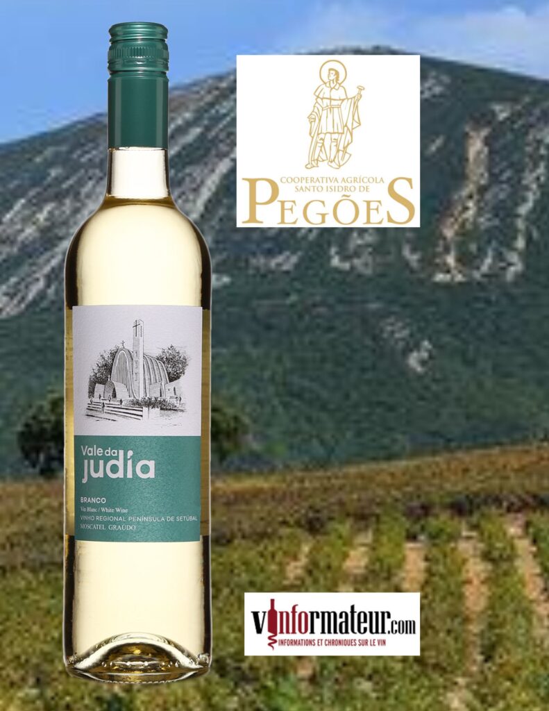 Vale da Judia, Branco, Portugal, Péninsule de Setubal, vin blanc, 2021 bouteille