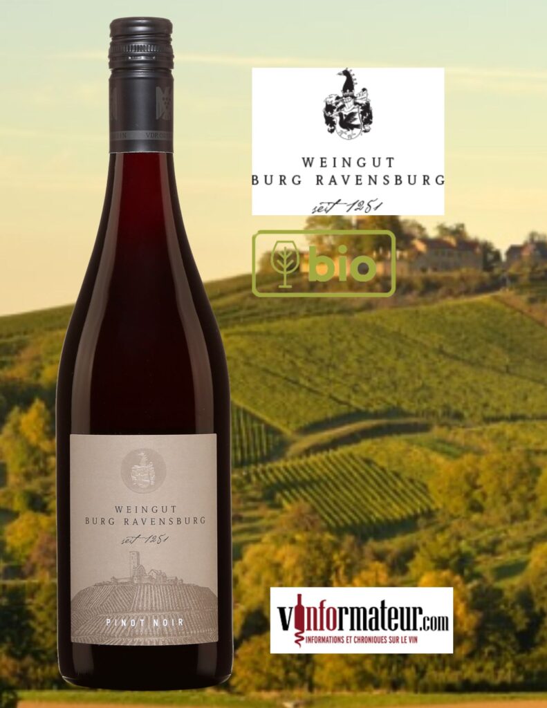 Weingut Burg Ravensburg, Pinot Noir, Allemagne, Baden, Sulzfeld, VDP Ortswein, vin rouge bio (biodynamie), 2020 bouteille