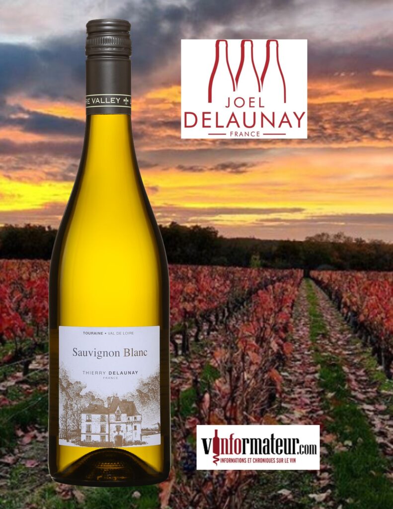 Thierry Delaunay, Sauvignon blanc, Val de Loire, Touraine, vin blanc, 2022 bouteille