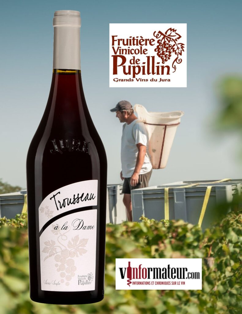 Trousseau, France, Jura, Arbois-Pupillin, vin rouge nature (sans sulfites ajoutés), Fruitière Vinicole de Pupillin , 2022 bouteille