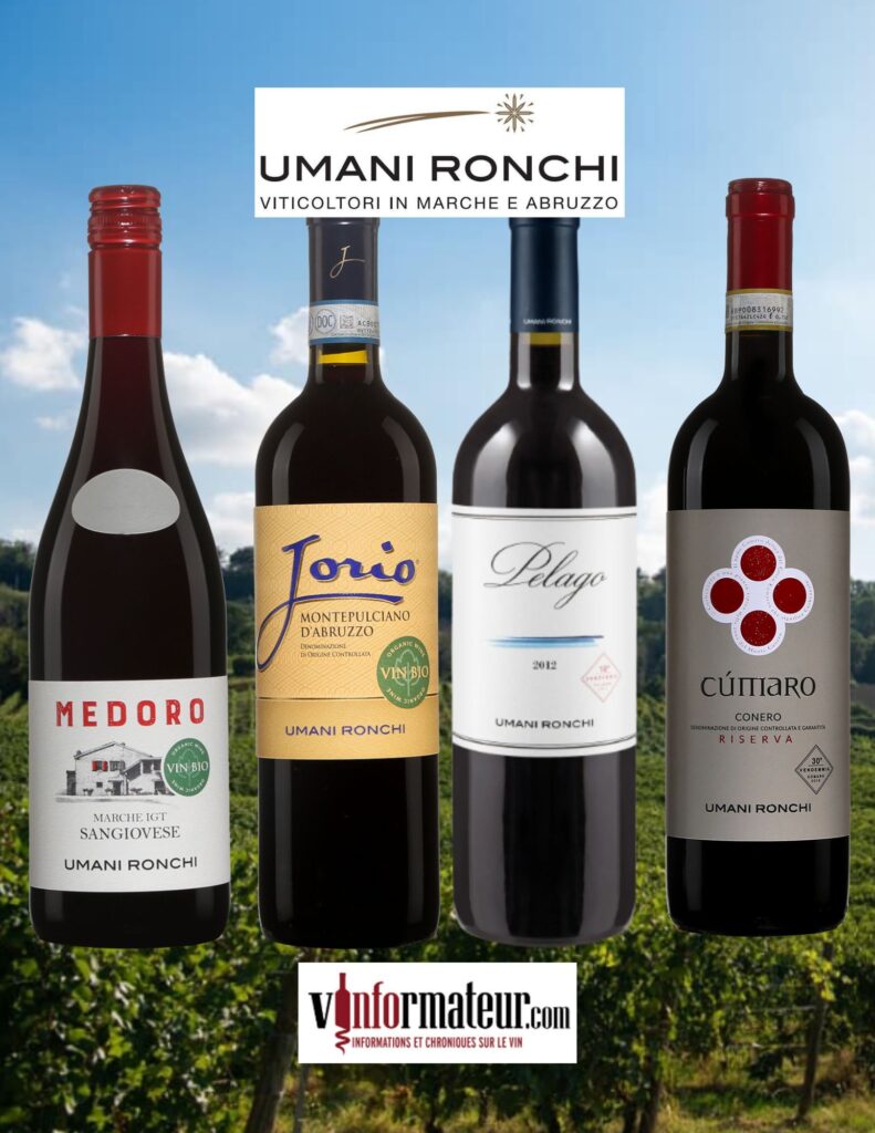 Dégustation Umani Ronchi - vins disponibles au moment d'écrire cette chronique bouteilles