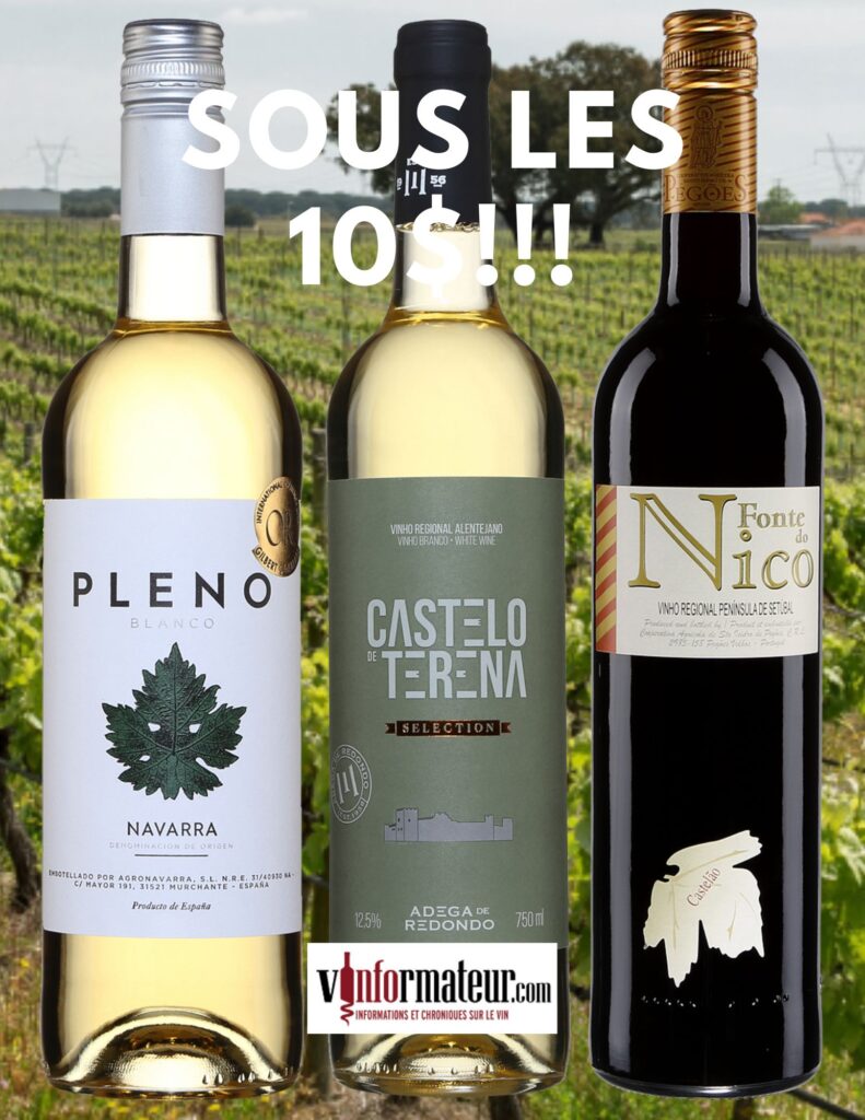 Trois vins sous les 10$: Pleno, Blanco, 2022, Castelo de Terena, Selection, Vinho Branco, 2022, Fonte de Nico, Castelao. bouteilles