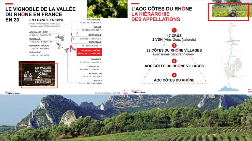 Classification des vins des Côtes du Rhône