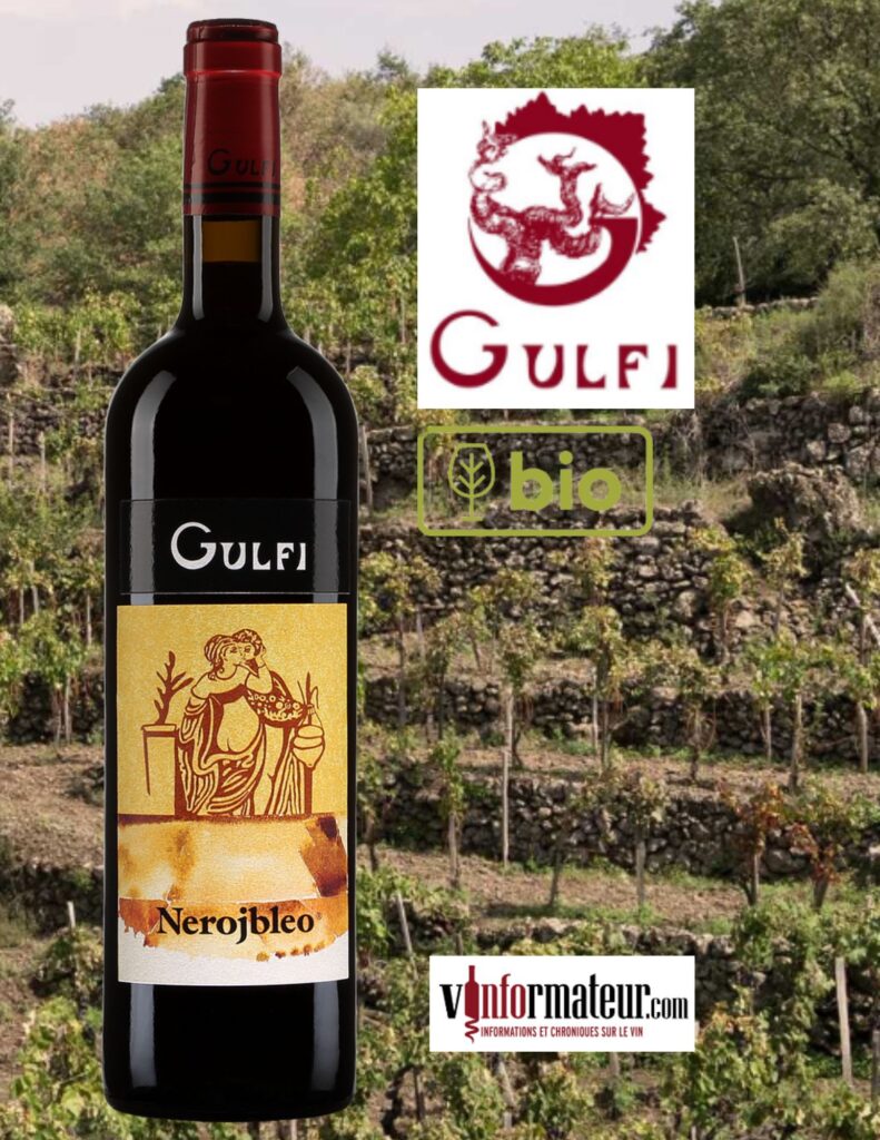 Gulfi Nerojbleo, Nero D’Avola, Italie, Terre Siciliane IGT Rosso, vin rouge bio, 2021 bouteille