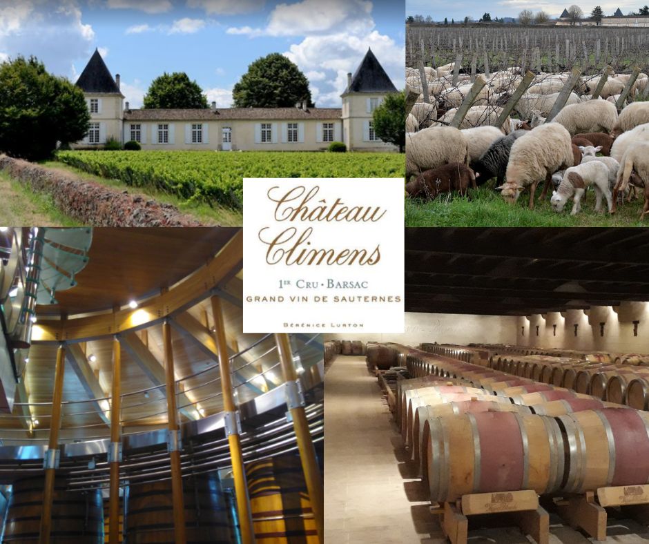 Château Climens: château, chai et vignobles