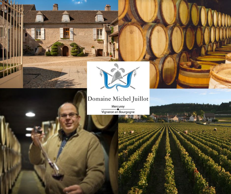 Domaine Michel Juillot: Laurent Juillot, chai et vignobles