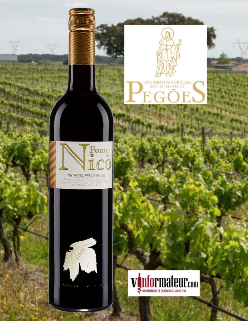 Fonte de Nico, Castelao, Portugal, Vinho Regional, Péninsule de Setubal, Palmela DO, vin rouge bouteille