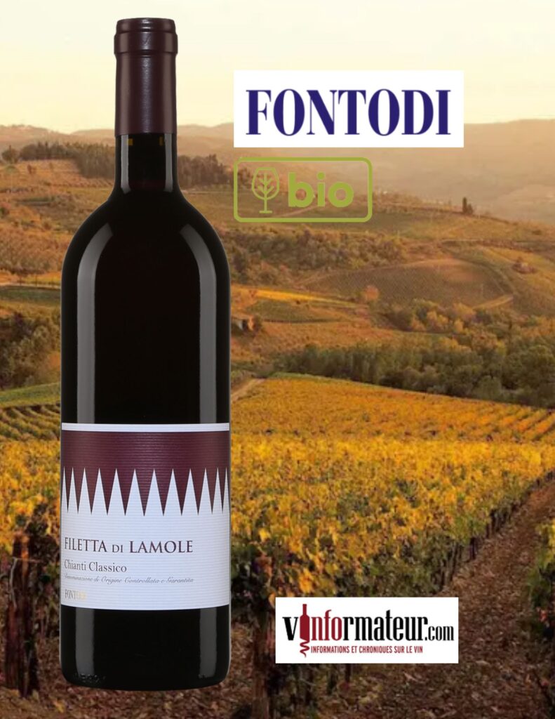 Fontodi, Filetta di Lamole, Chianti Classico DOCG, vin rouge bio, 2020 bouteille