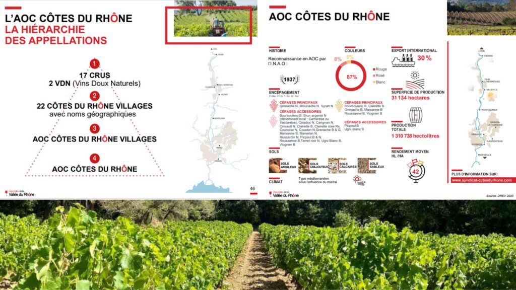 Information classification Côtes-du-Rhône