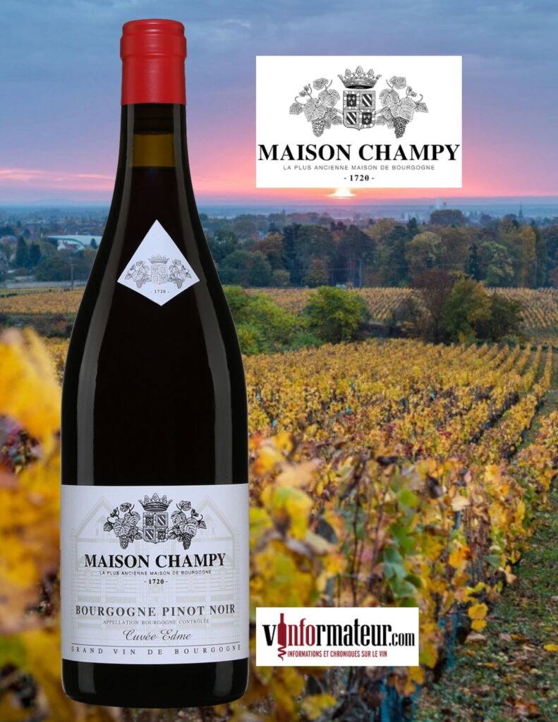 Pinot Noir, Cuvée Edmé, Bourgogne, Maison Champy, 2022 bouteille