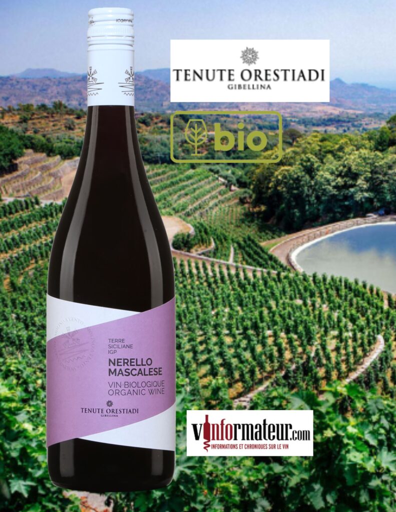 Nerello Mascalese, Italie, Sicile, vin rouge bio, 2022 bouteille
