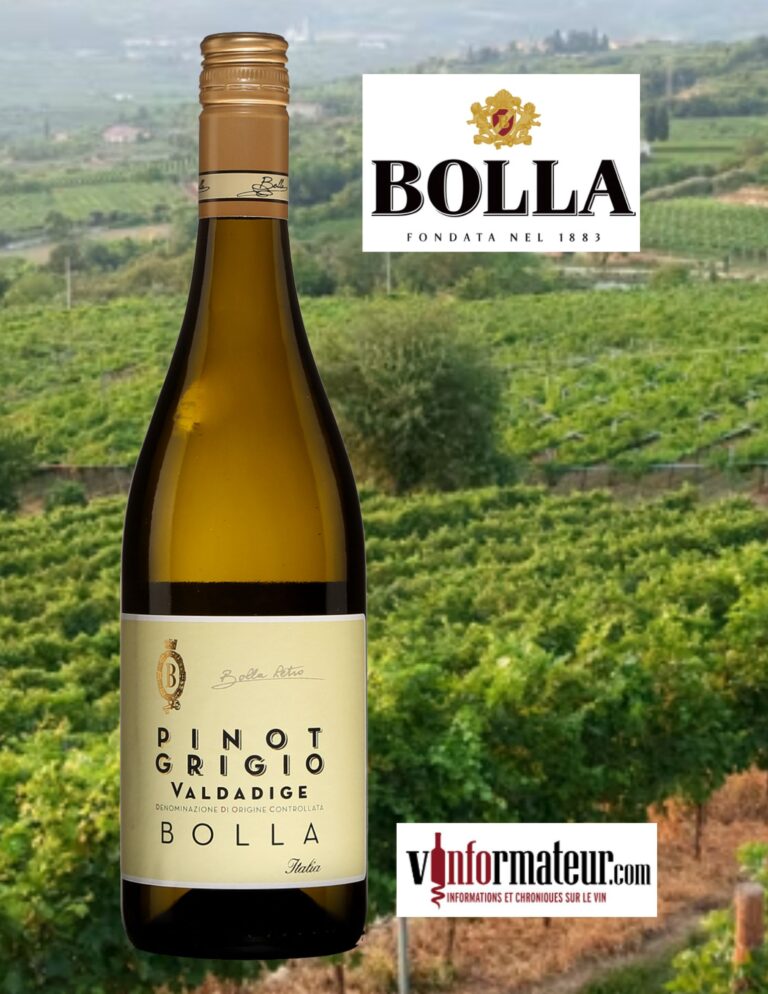 Vino Novello: Tout ce qu'il faut savoir sur ce jeune vin italien – Bottle  of Italy