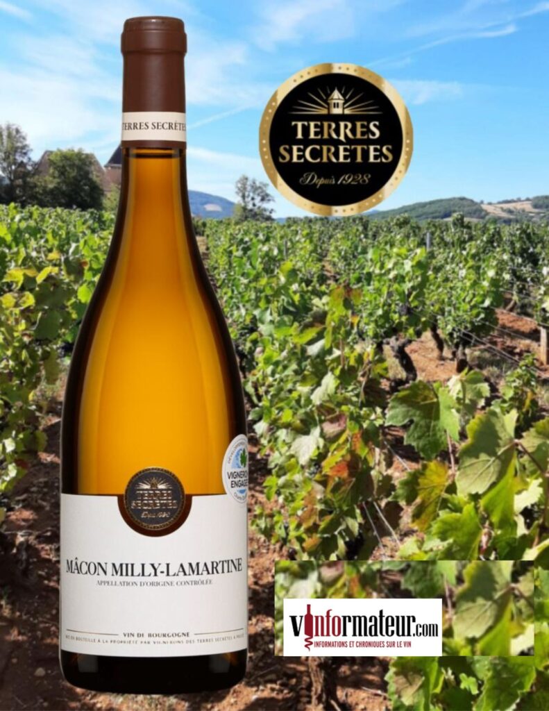 Mâcon Milly-Lamartine, Bourgogne, Mâconnais, Terres Secrètes, vin blanc, 2020 bouteille