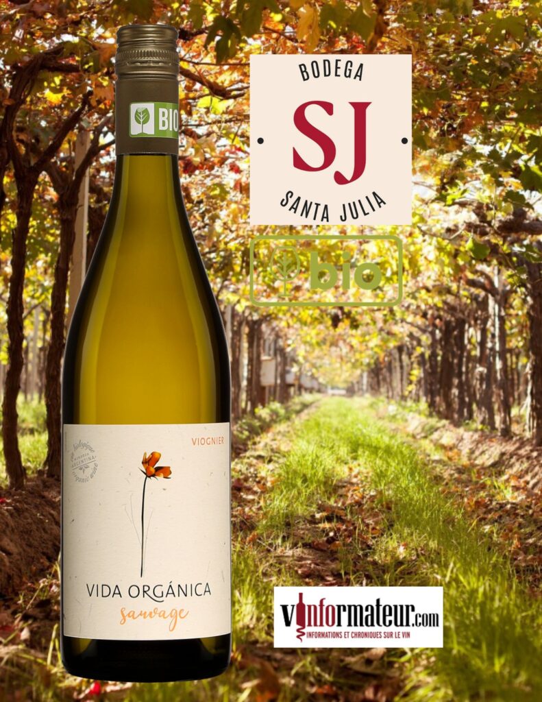 Vida Organica, Sauvage, Viognier, Argentine, Mendoza, Santa Julia (Zuccardi), vin blanc bio, 2023 bouteille